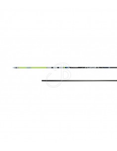 ASTE PEGASUS CUBE CROSS X... 2