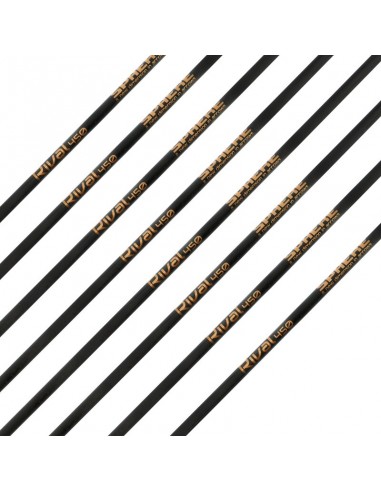 ASTE SPHERE RIVAL CARBON 3.2