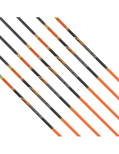 ASTE SPHERE PyroSPHERE Slim - Carbon 4.2