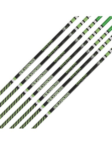 ASTE SPIDER BOW KEV-TECH RAVEN ONE 4.2